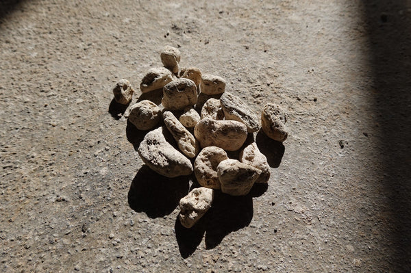 【希少カシミヤ100%】ATON STONE CASHMERE ニットセーター 楽天市場】[P10倍]ATON : SPUN CASHMERE CREWNECK SWEATER