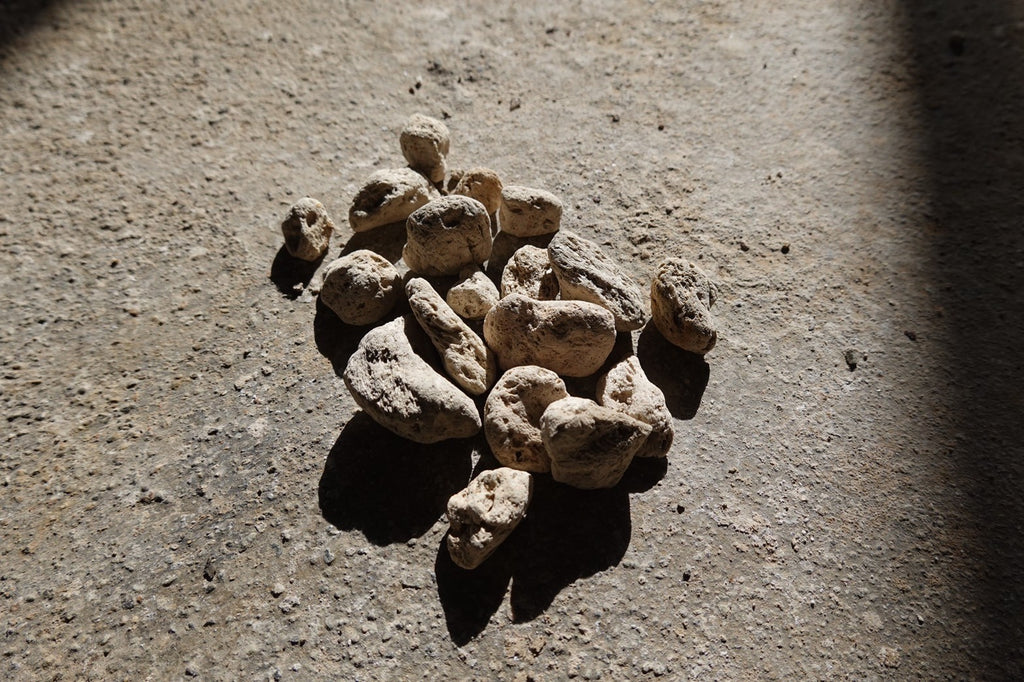 VOL.13 | STONE CASHMERE – ATON | エイトン