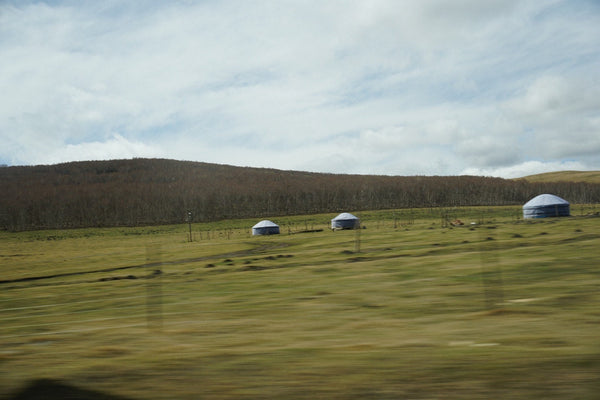 VOL.22 | BABY CASHMERE